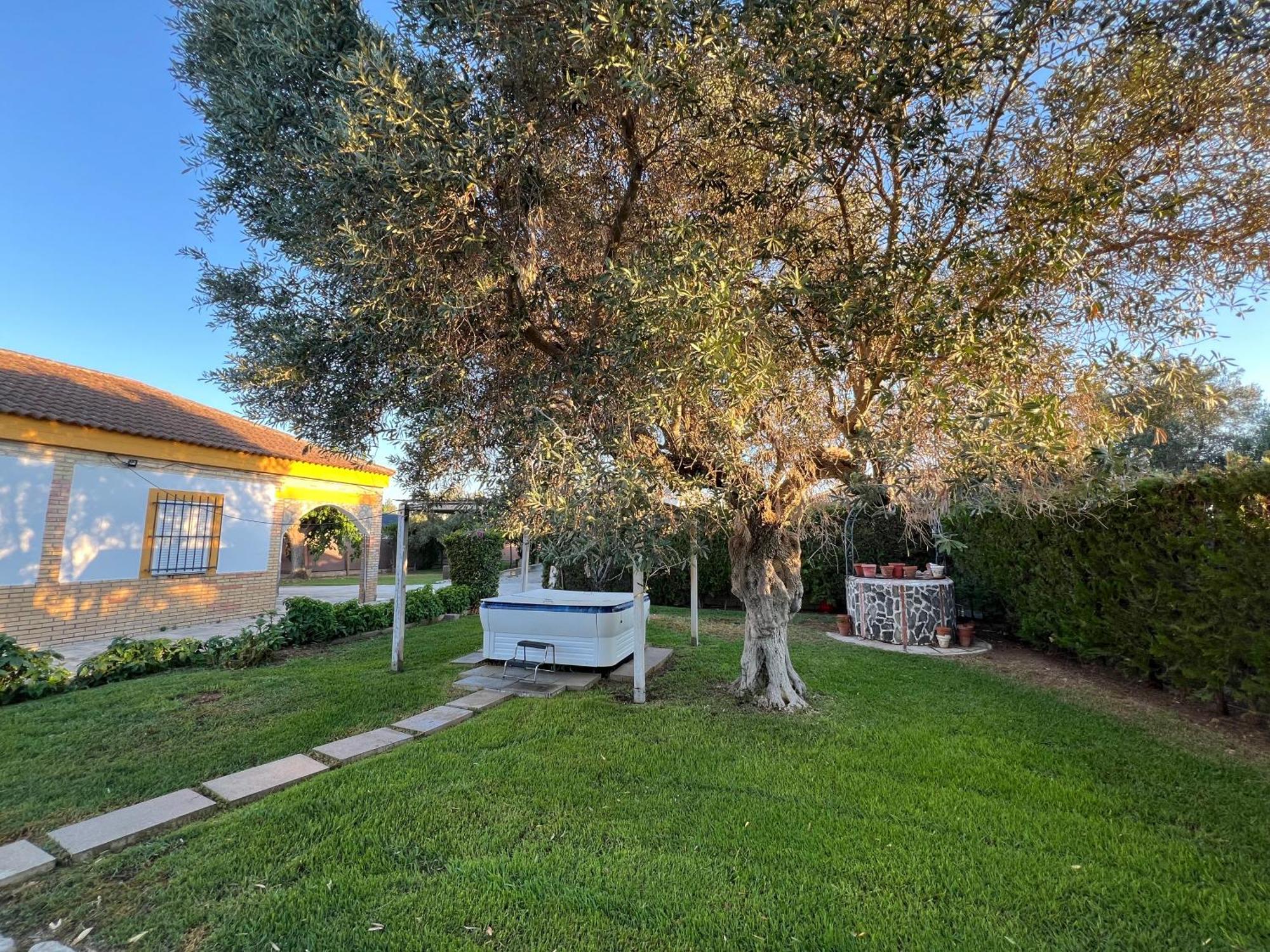 Hacienda de Tarazona Chalet Piscina Jakuzzi Sevilla מראה חיצוני תמונה